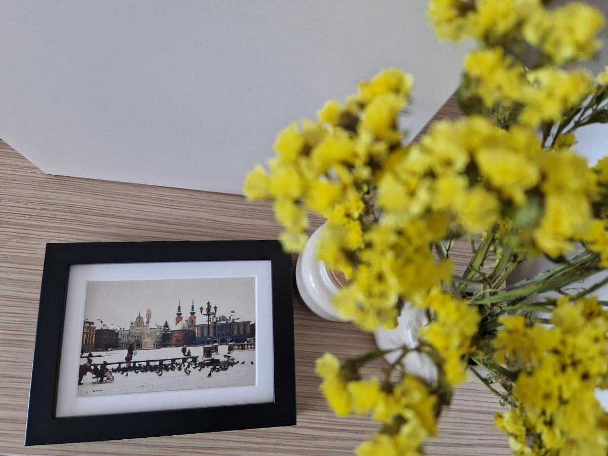 Appartamento Central Skystudio Timisoara Esterno foto